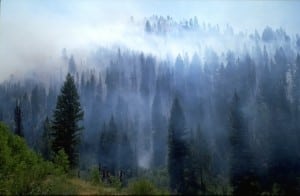 Stock_RegionalHaze_NFIC.gov