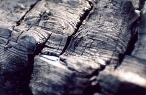 Stock_CoalMacro_Flickr-Genista