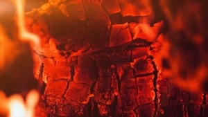 WoodBurning_biomass_MaxPixel