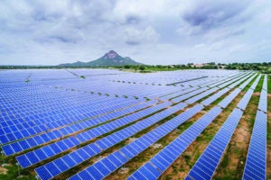 Splash - CLP India - Veltoor Solar Farm 8