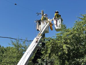 Fig3-IQGeo-lineworkers