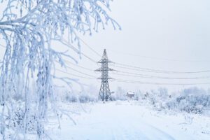 power-lines-in-the-winter-forest-power-lines-in-th-2025-03-09-08-58-39-utc (1)