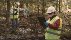 vegetation management wildfire